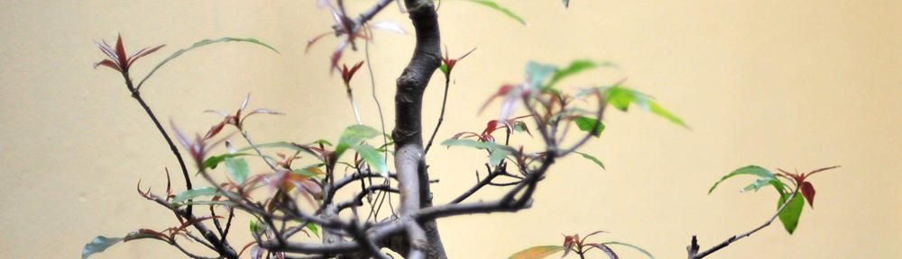 台北生活服務部落格